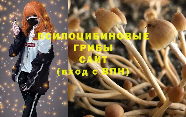 амф Няндома