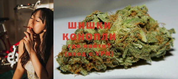 крисы Абаза