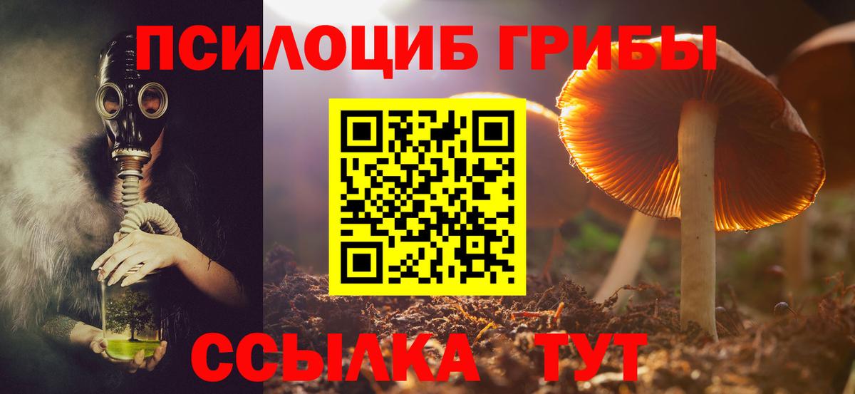 Псилоцибиновые грибы GOLDEN TEACHER Зеленодольск